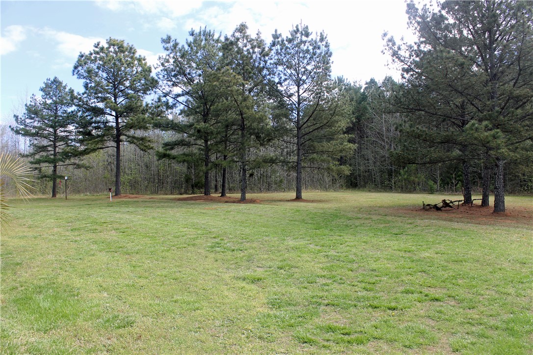 1007 O Neal Street Belton, SC 29627 - Photo 16 of 25 Expansive green yard provides a serene natural backdrop for outdoor living and recreation.