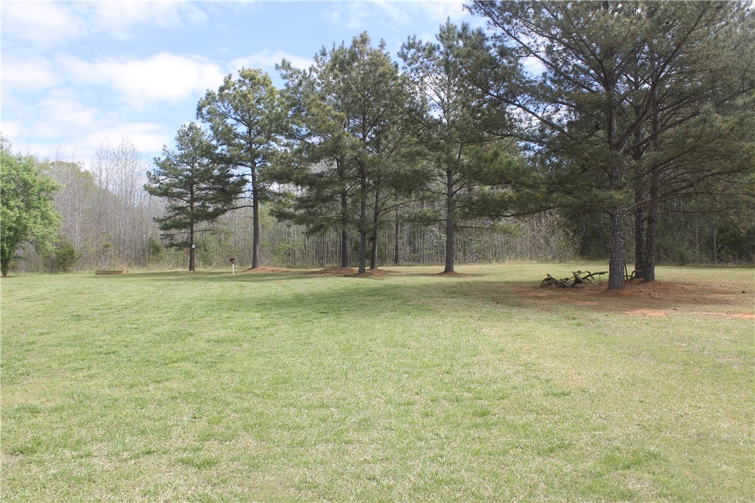 1007 O Neal Street Belton, SC 29627 - Photo 17 of 25 Expansive green yard with mature trees bordering a serene wooded landscape.