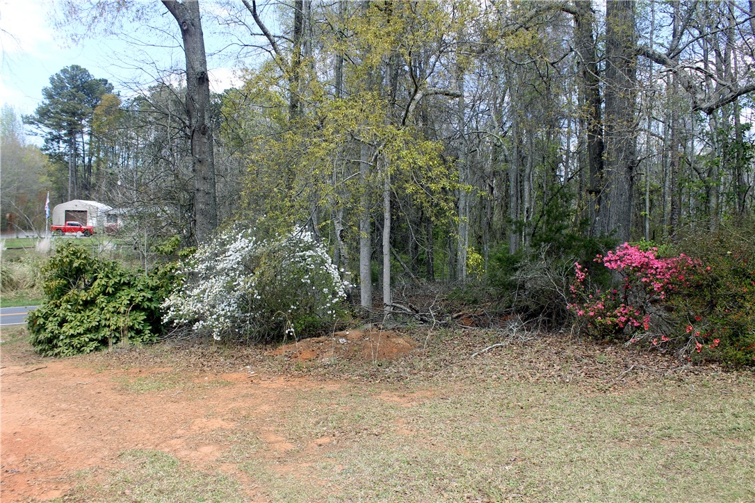 1007 O Neal Street Belton, SC 29627 - Photo 23 of 25 This tranquil wooded lot offers a peaceful retreat with vibrant flowering bushes.