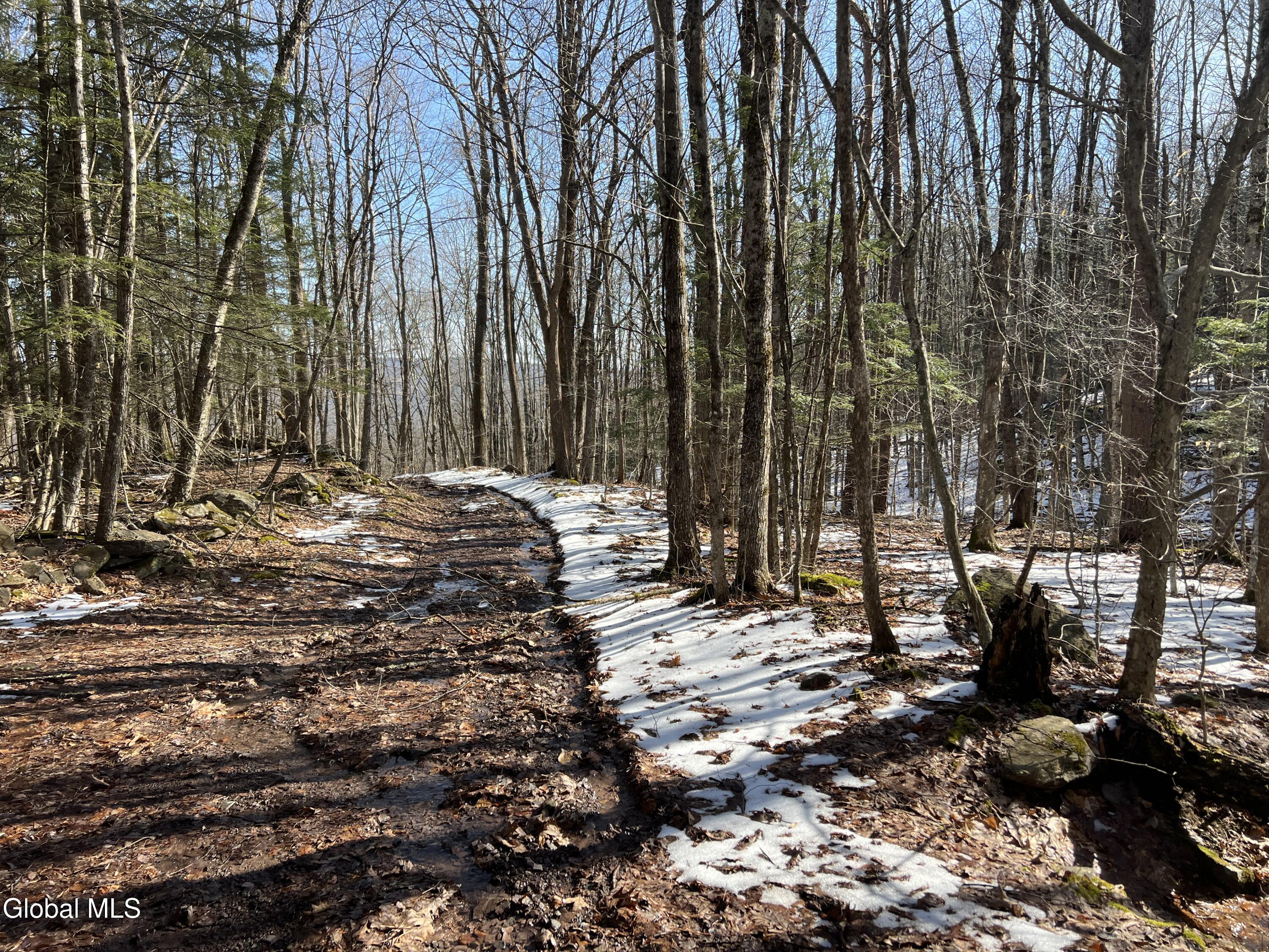 536 Bates Forest Road Conesville, NY 12076 - Photo 34 of 37 34) 72553-6a22a18d2710b