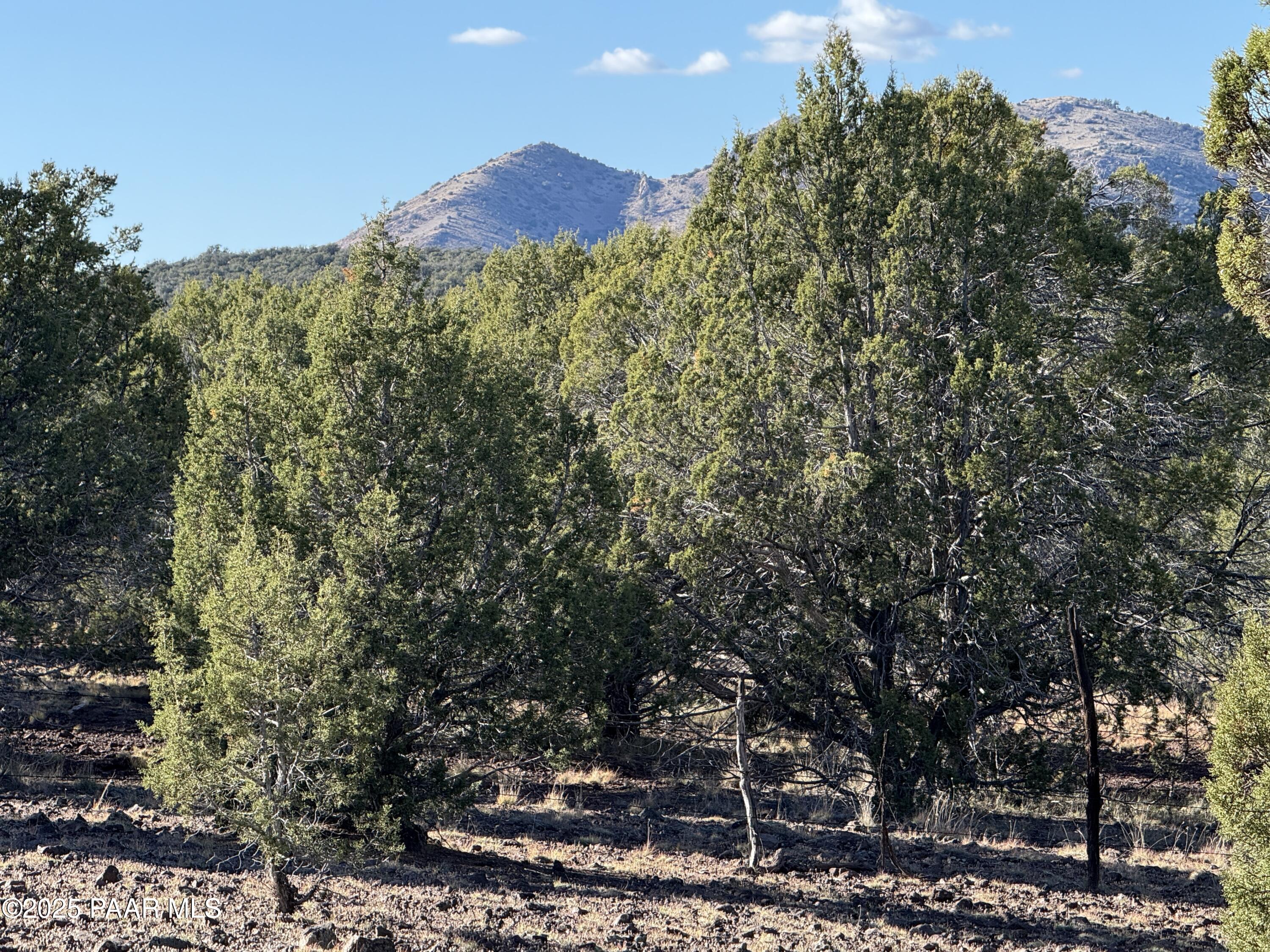 17375 Beale Wagon Road Williams, AZ 86046 - Photo 19 of 30 IMG_9806