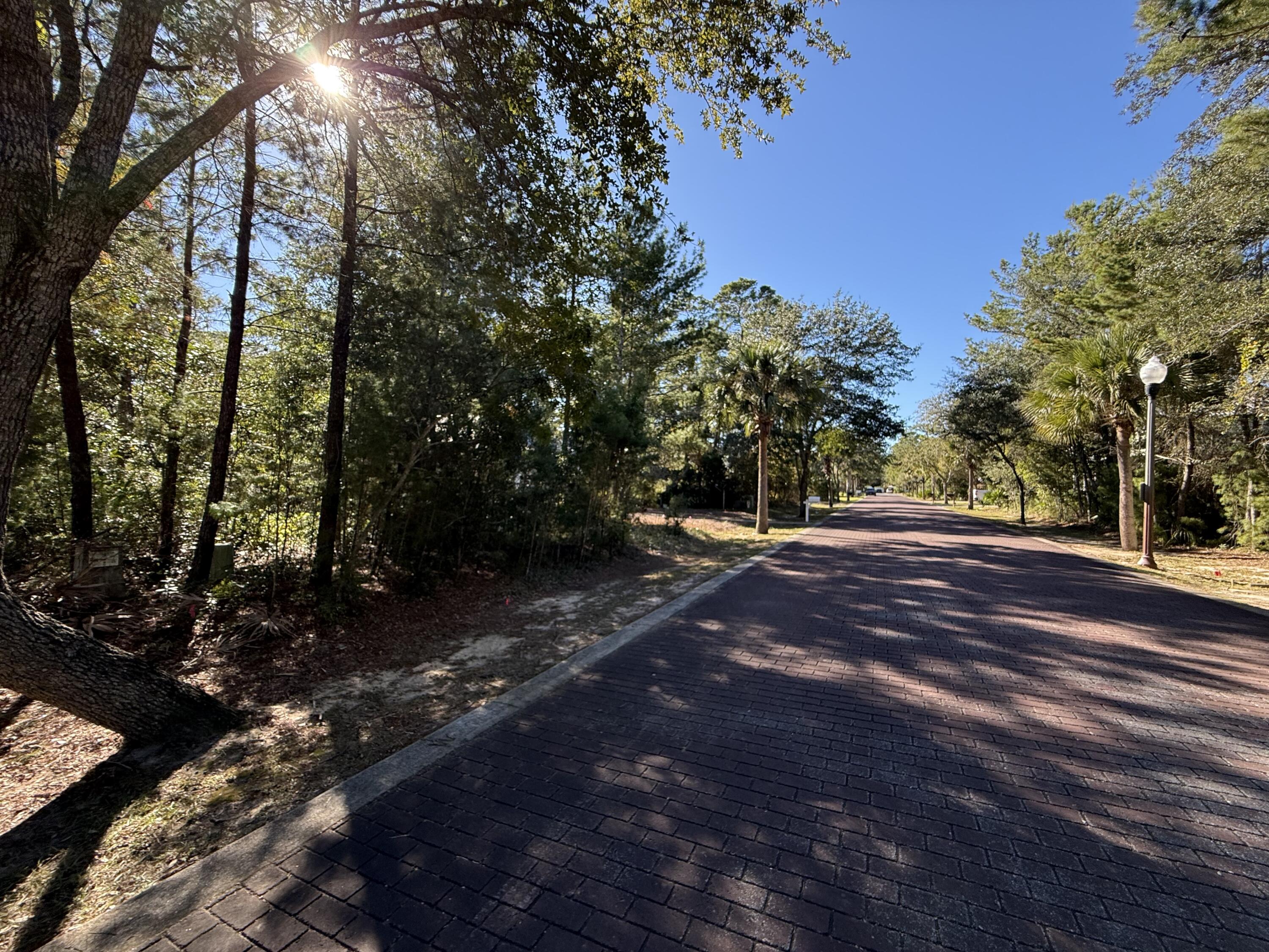 Tbd Riker Avenue Santa Rosa Beach, FL 32459 - Photo 2 of 12