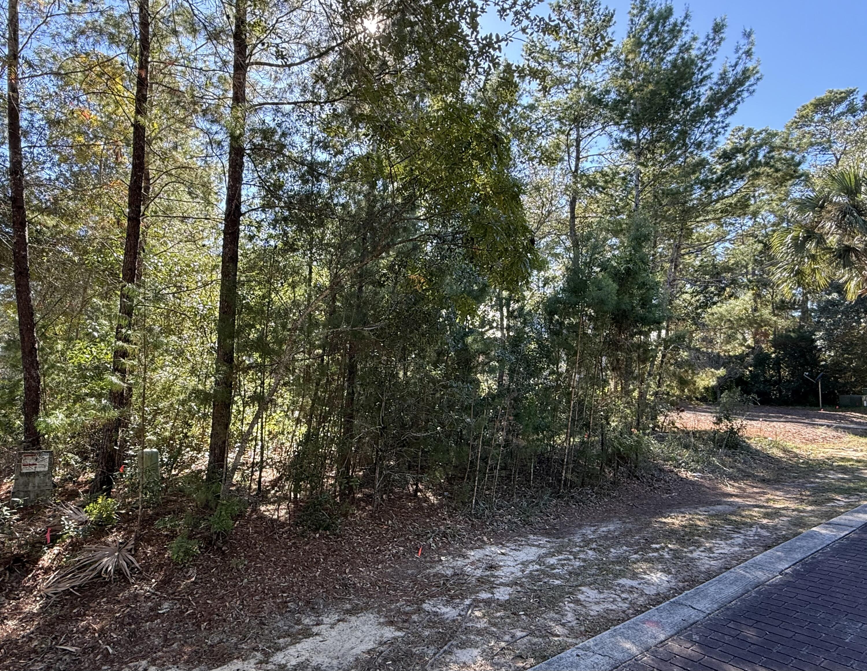 Tbd Riker Avenue Santa Rosa Beach, FL 32459 - Photo 4 of 12 a view of a forest with trees