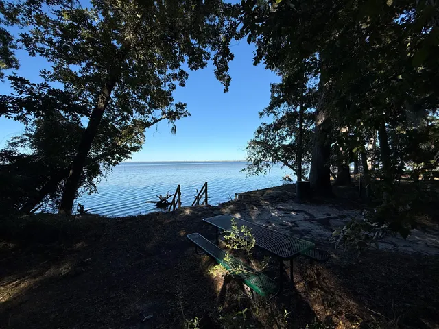 a view of a backyard with swimming pool