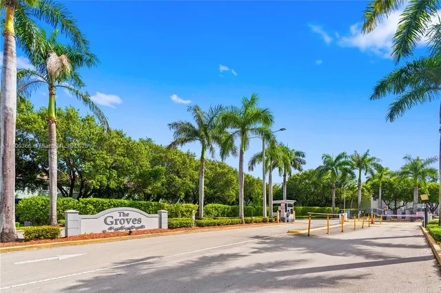 a view of a park with palm trees