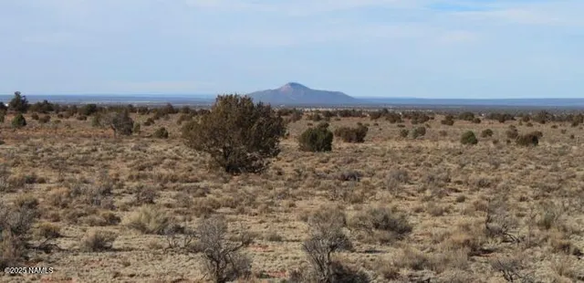 a view of a dry yard with mountains and green space