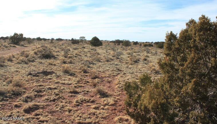 2447 Wingfield Road Williams, AZ 86046 - Photo 6 of 14 a view of a sky