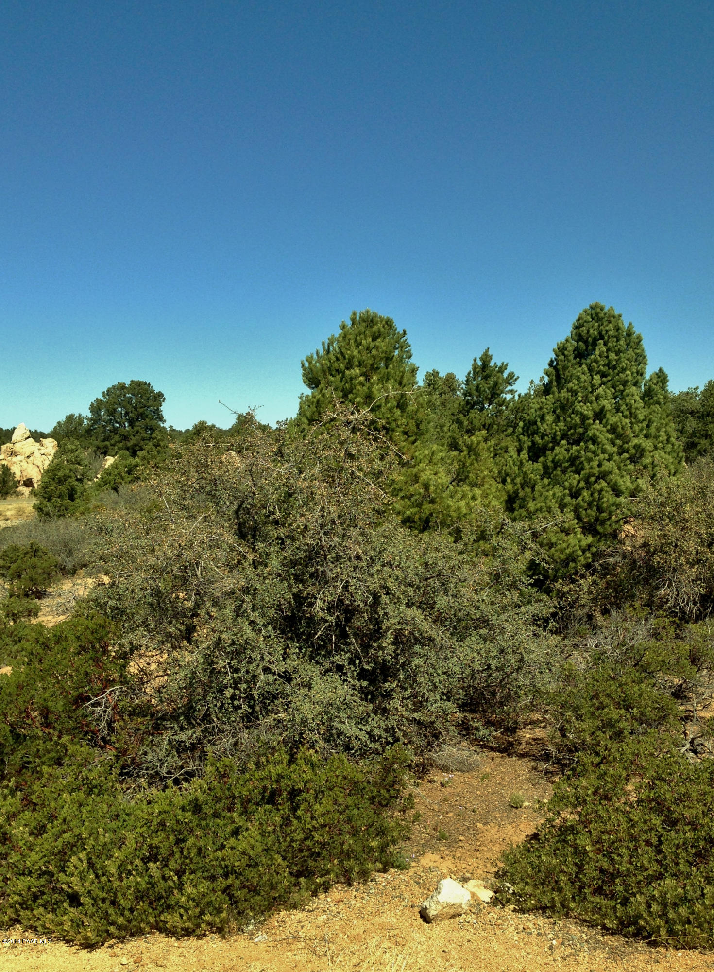 5860 Tita Road Prescott, AZ 86305 - Photo 7 of 15 6
