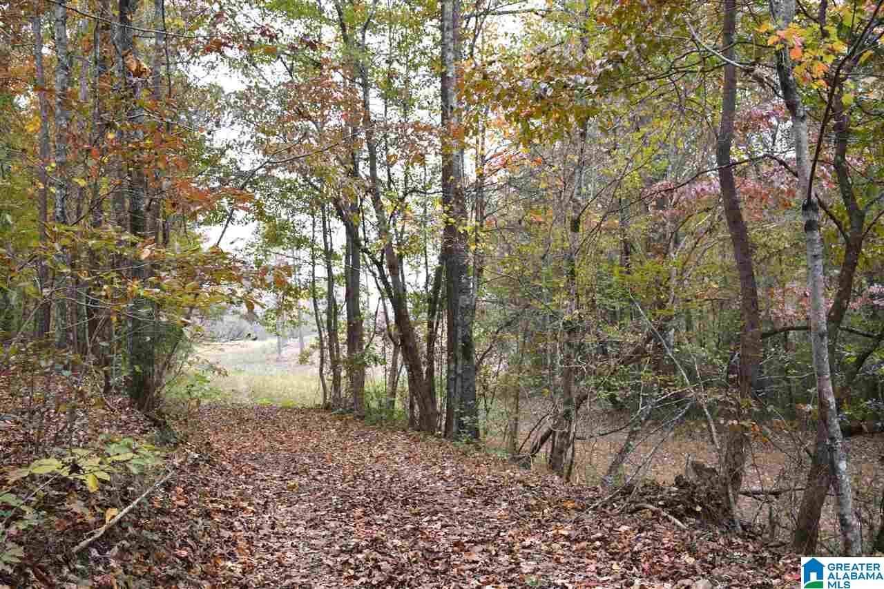 0 Jackson Loop Road, Unit 1 Ragland, AL 35131 - Photo 21 of 27