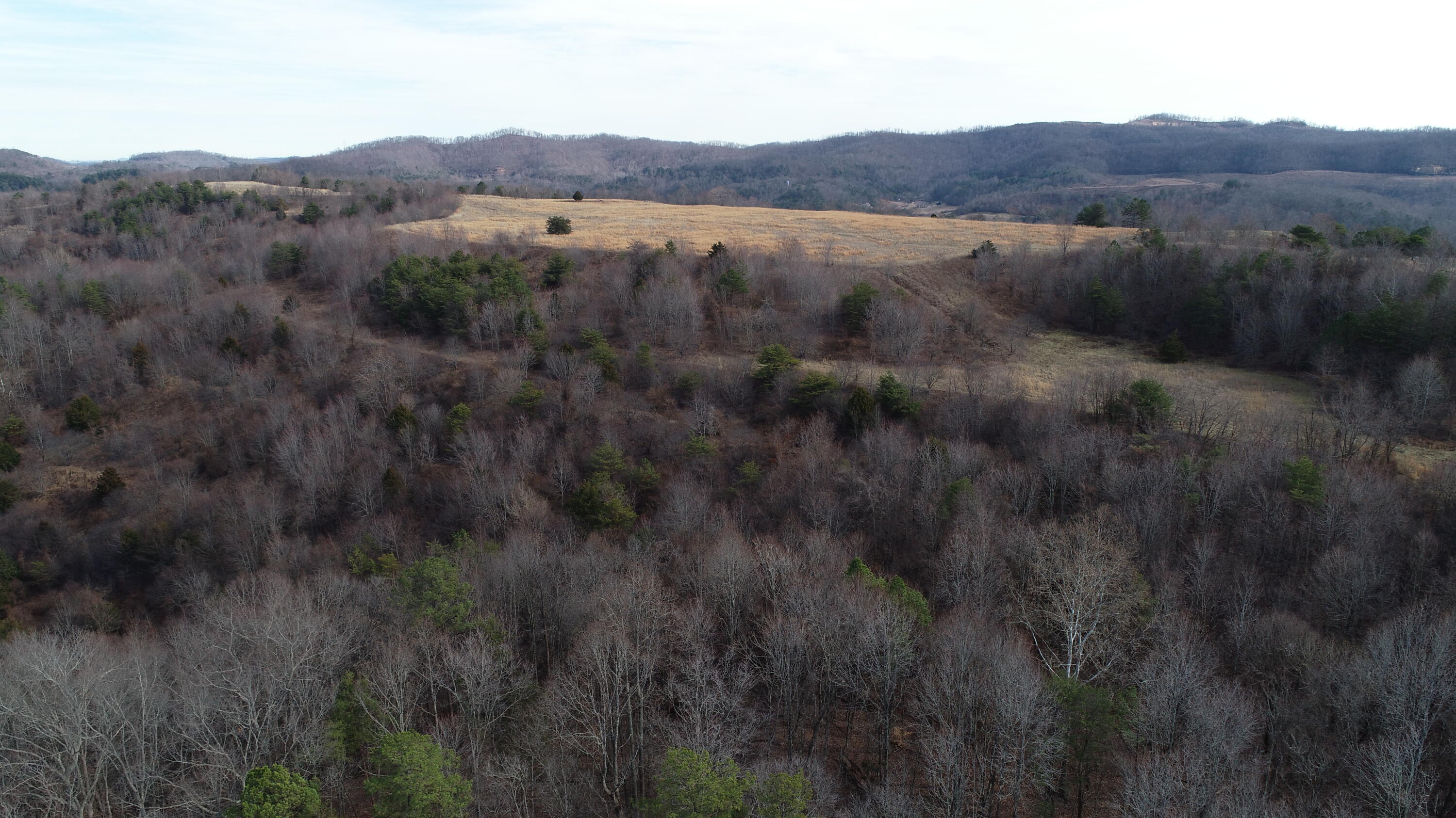 9999 Wells Road Corbin, KY 40701 - Photo 36 of 58 DJI_0722