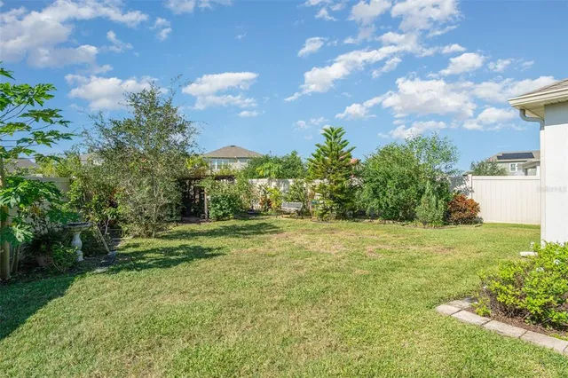 a view of a big yard with plants and large trees