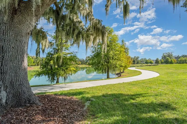 a view of a yard with a tree