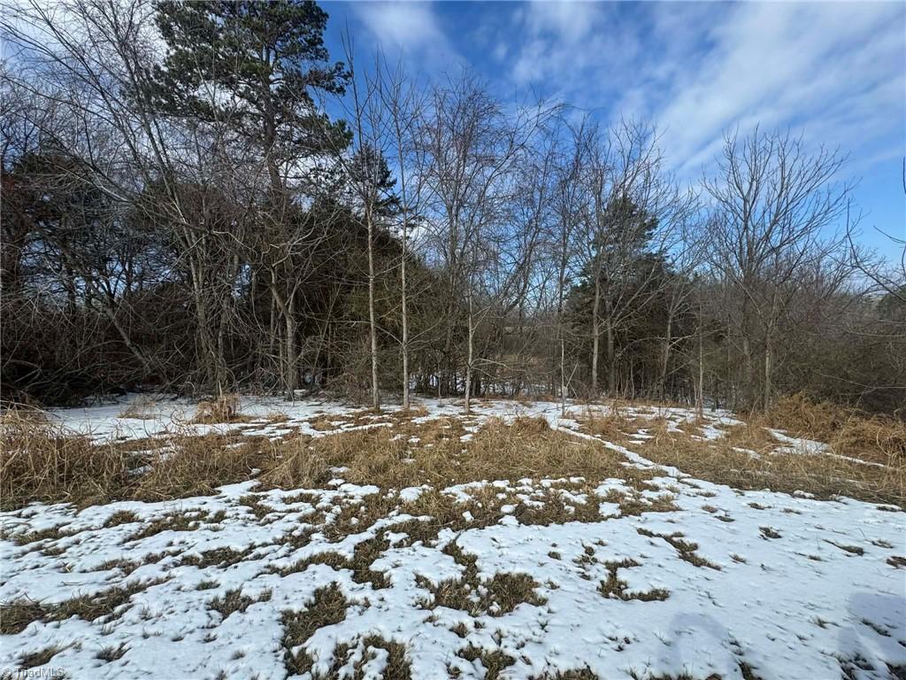 Tbd Macedonia Church Road Ronda, NC 28670 - Photo 24 of 29