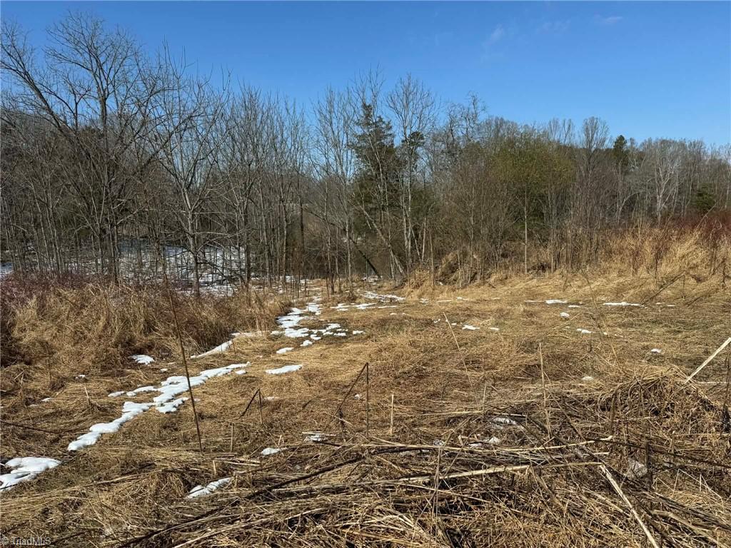 Tbd Macedonia Church Road Ronda, NC 28670 - Photo 28 of 29