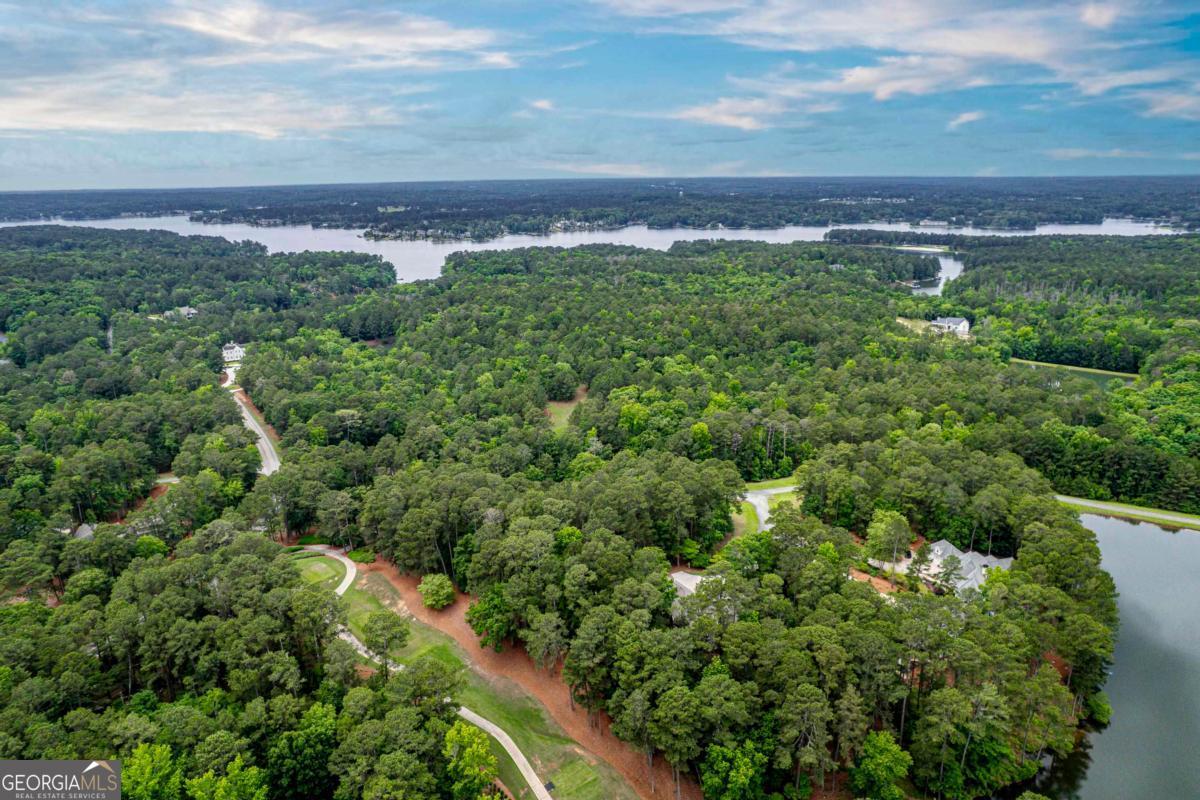 1041 Cedar Ridge Drive Greensboro, GA 30642 - Photo 6 of 17