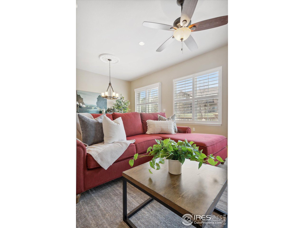4514 Silver Mountain Loop Broomfield, CO 80023 - Photo 4 of 39 a living room with furniture and a potted plant