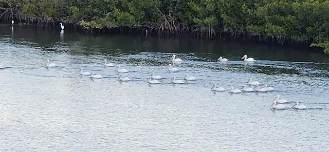 $629,900 | 5 Riverwalk Drive, Unit 503, New Smyrna Beach, FL 32169