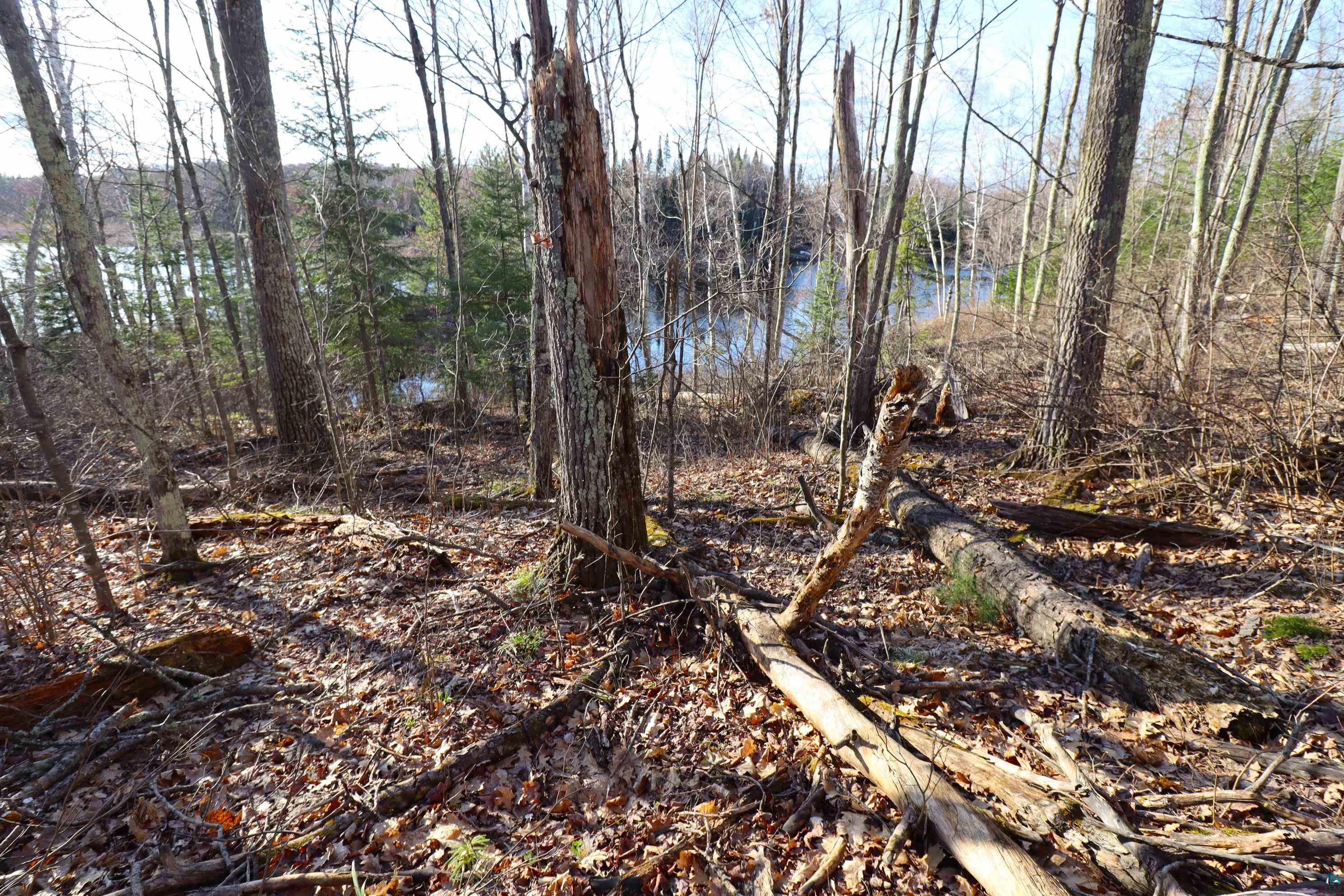 Lot 4 Canvasback Lane Hayward, WI 54843 - Photo 15 of 23