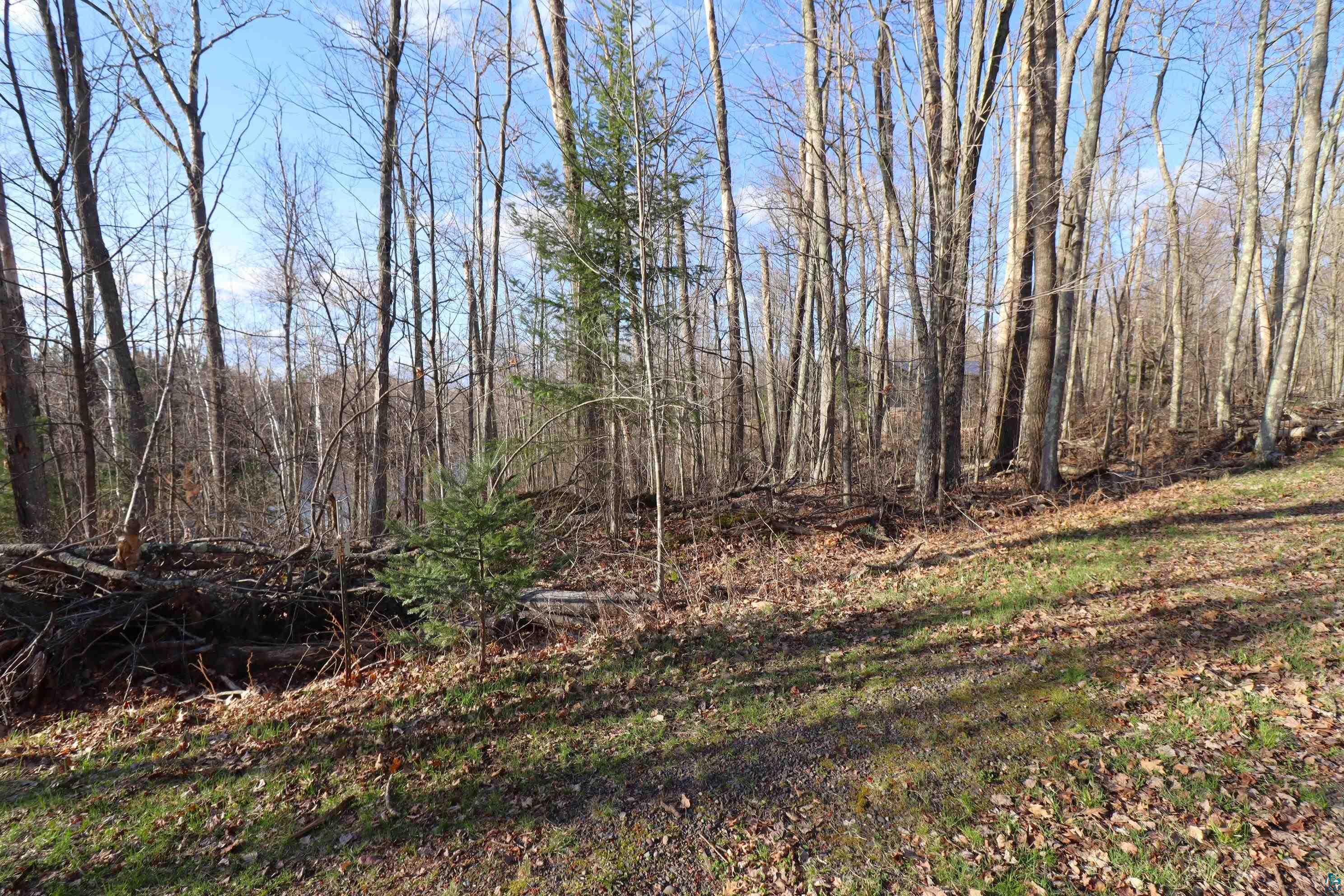 Lot 4 Canvasback Lane Hayward, WI 54843 - Photo 16 of 23