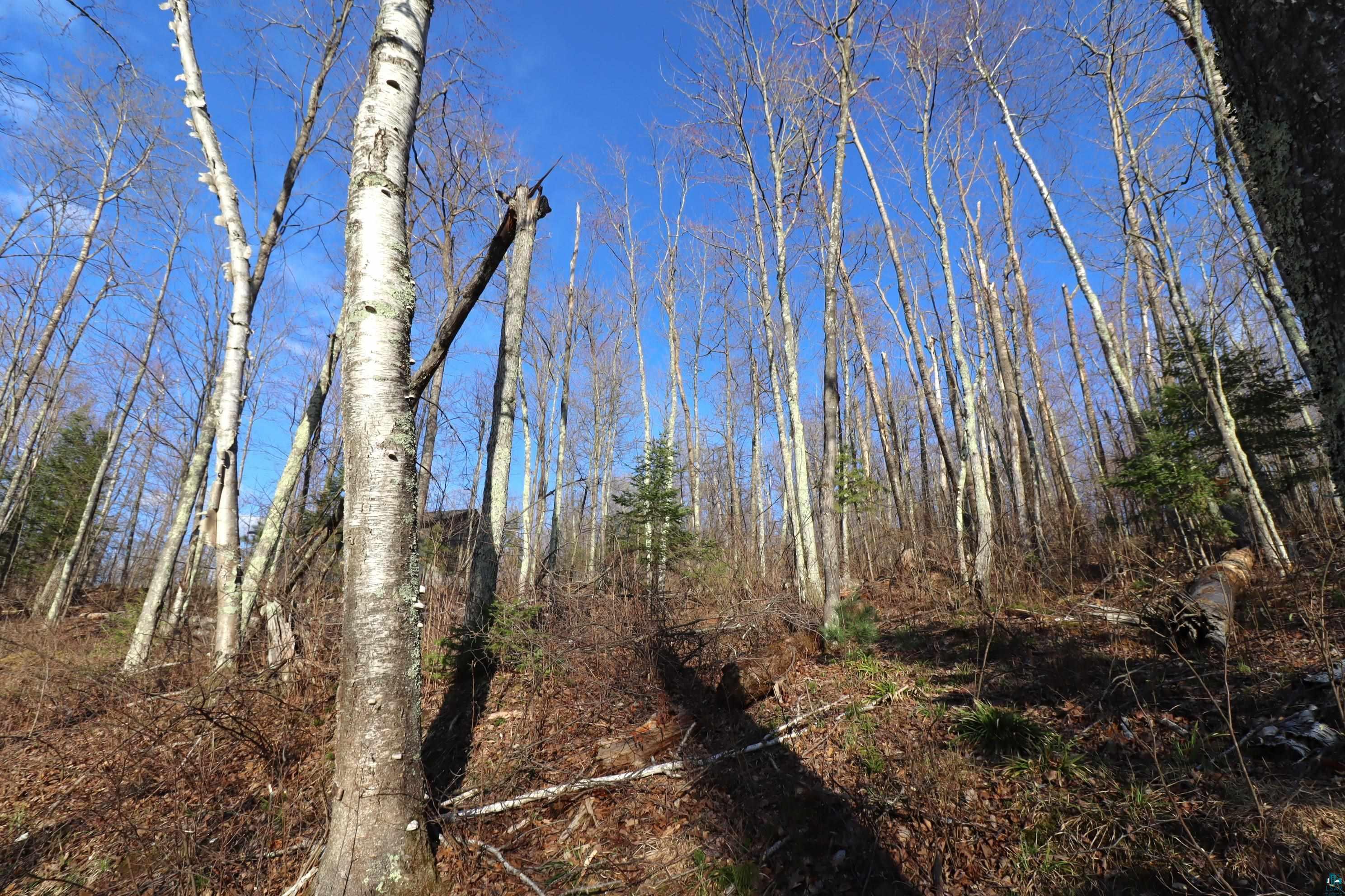Lot 4 Canvasback Lane Hayward, WI 54843 - Photo 17 of 23
