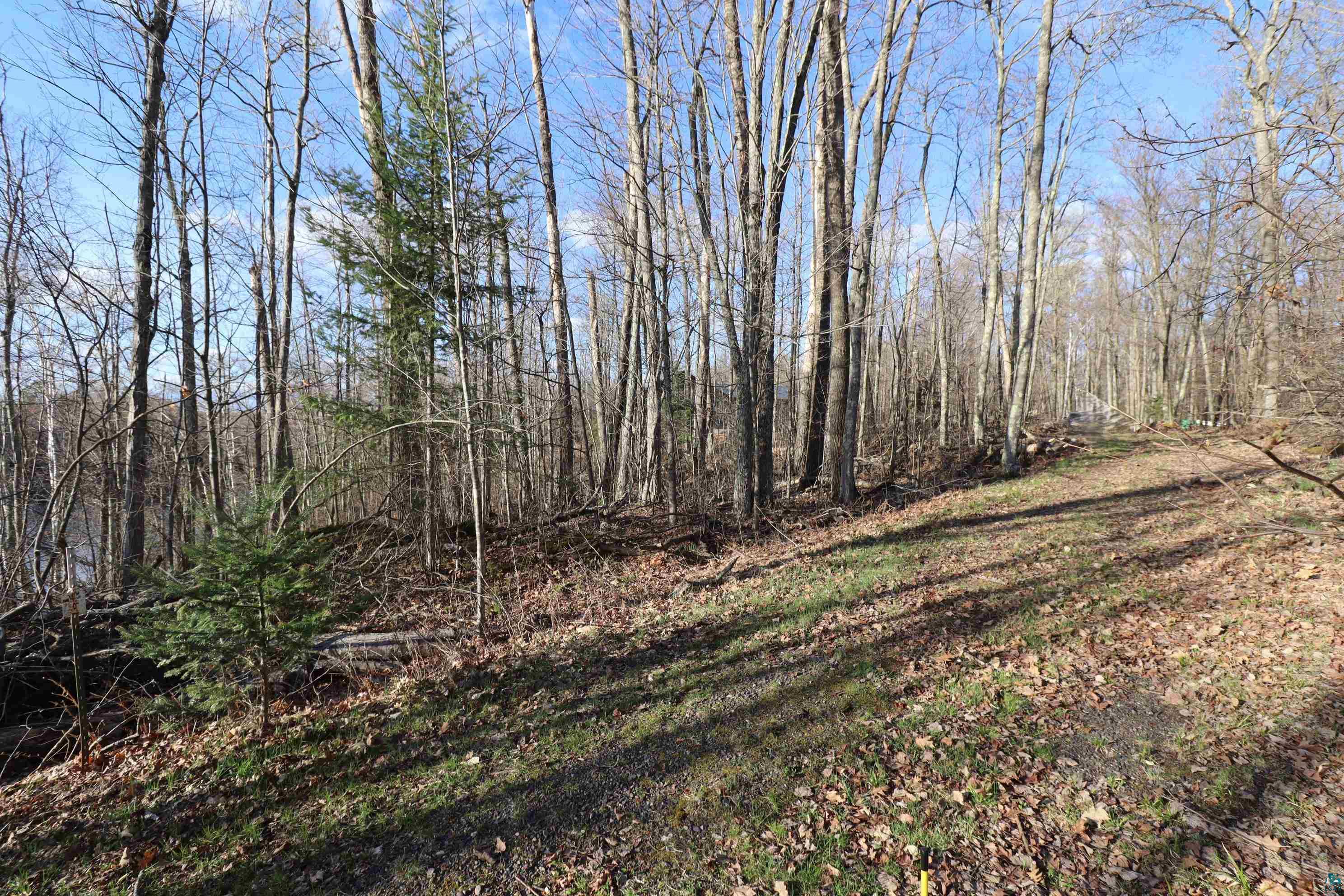 Lot 4 Canvasback Lane Hayward, WI 54843 - Photo 19 of 23