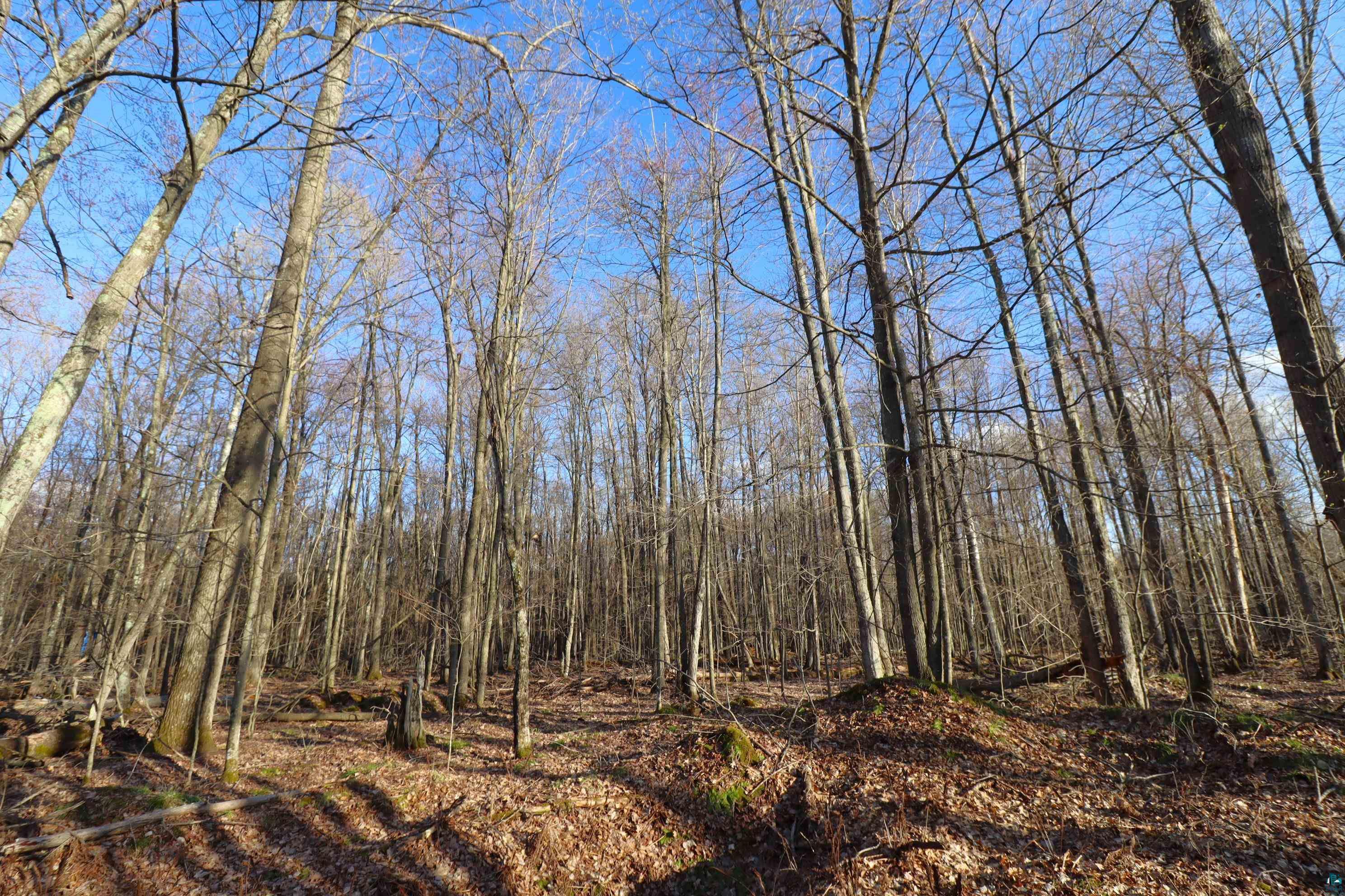 Lot 4 Canvasback Lane Hayward, WI 54843 - Photo 20 of 23
