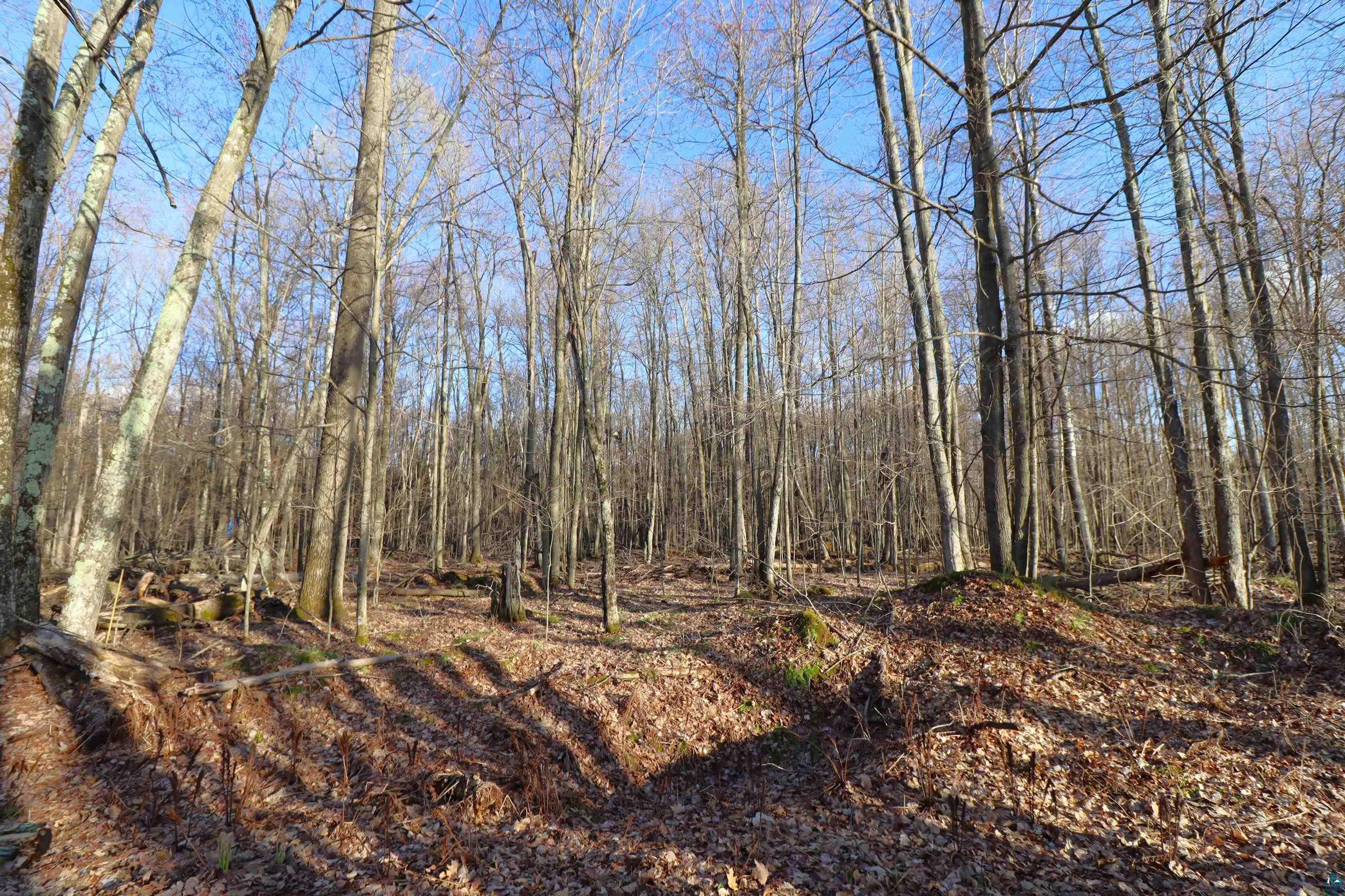 Lot 4 Canvasback Lane Hayward, WI 54843 - Photo 21 of 23