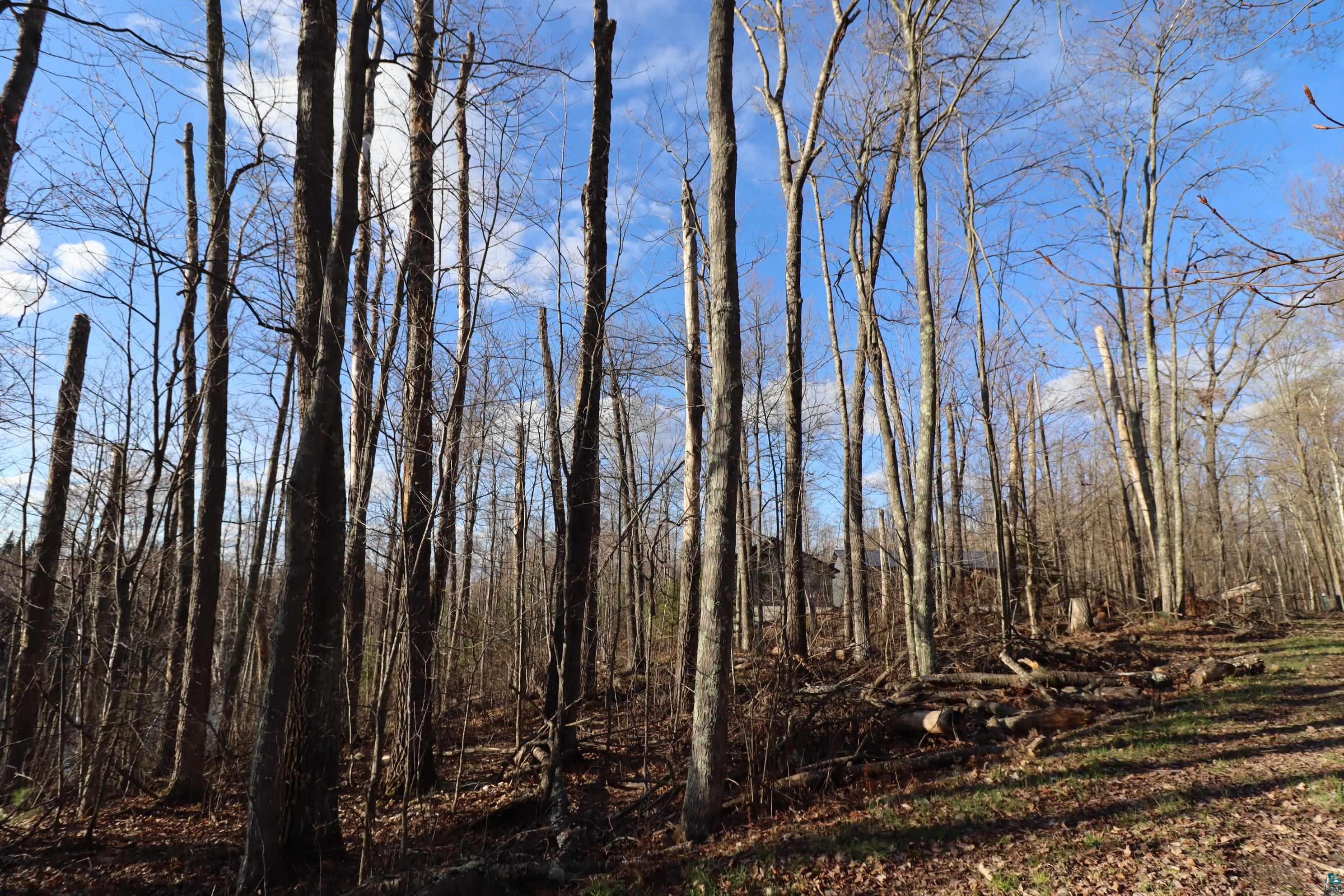 Lot 4 Canvasback Lane Hayward, WI 54843 - Photo 22 of 23