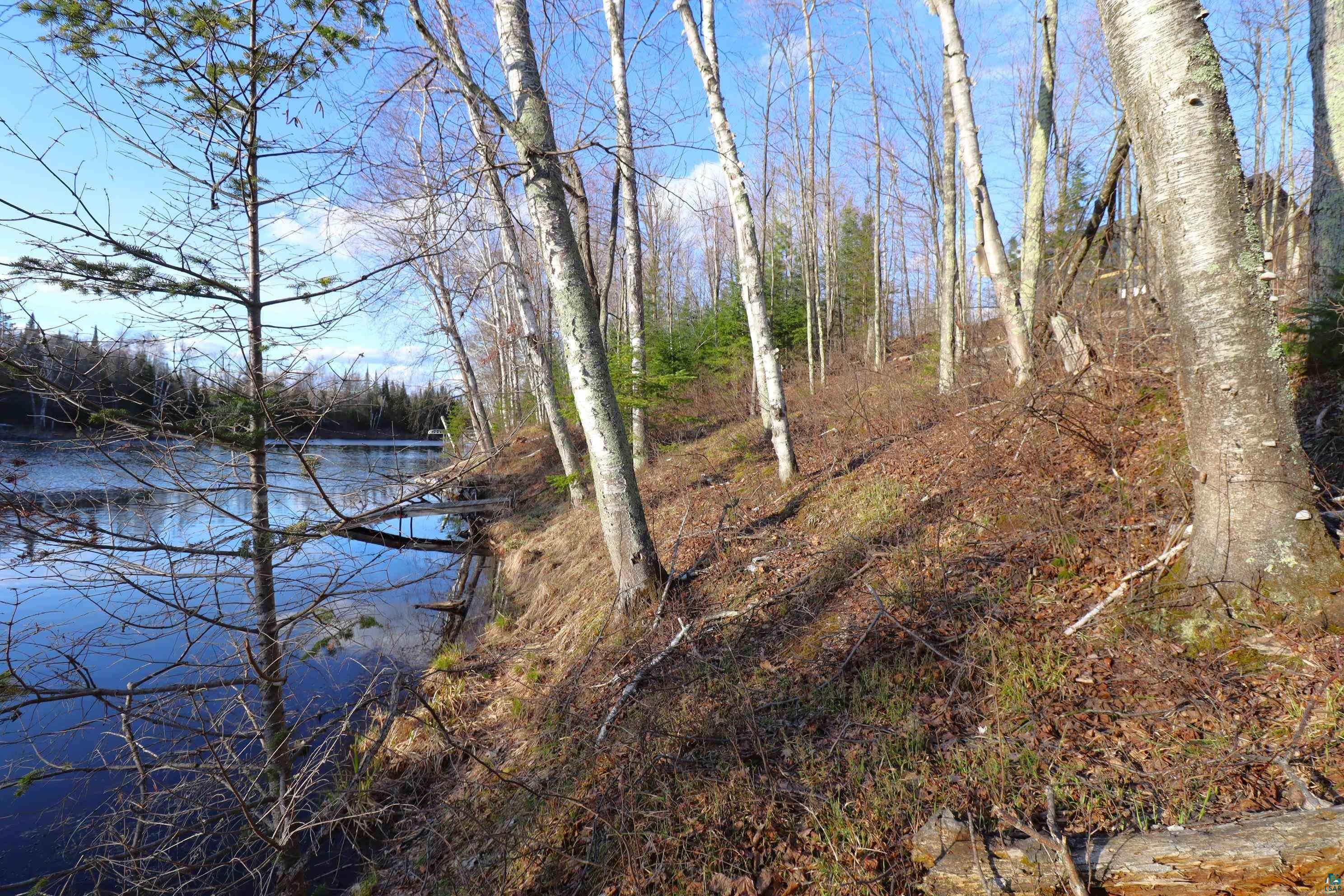 Lot 4 Canvasback Lane Hayward, WI 54843 - Photo 9 of 23