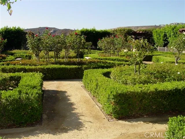 a view of a garden with a building in the background