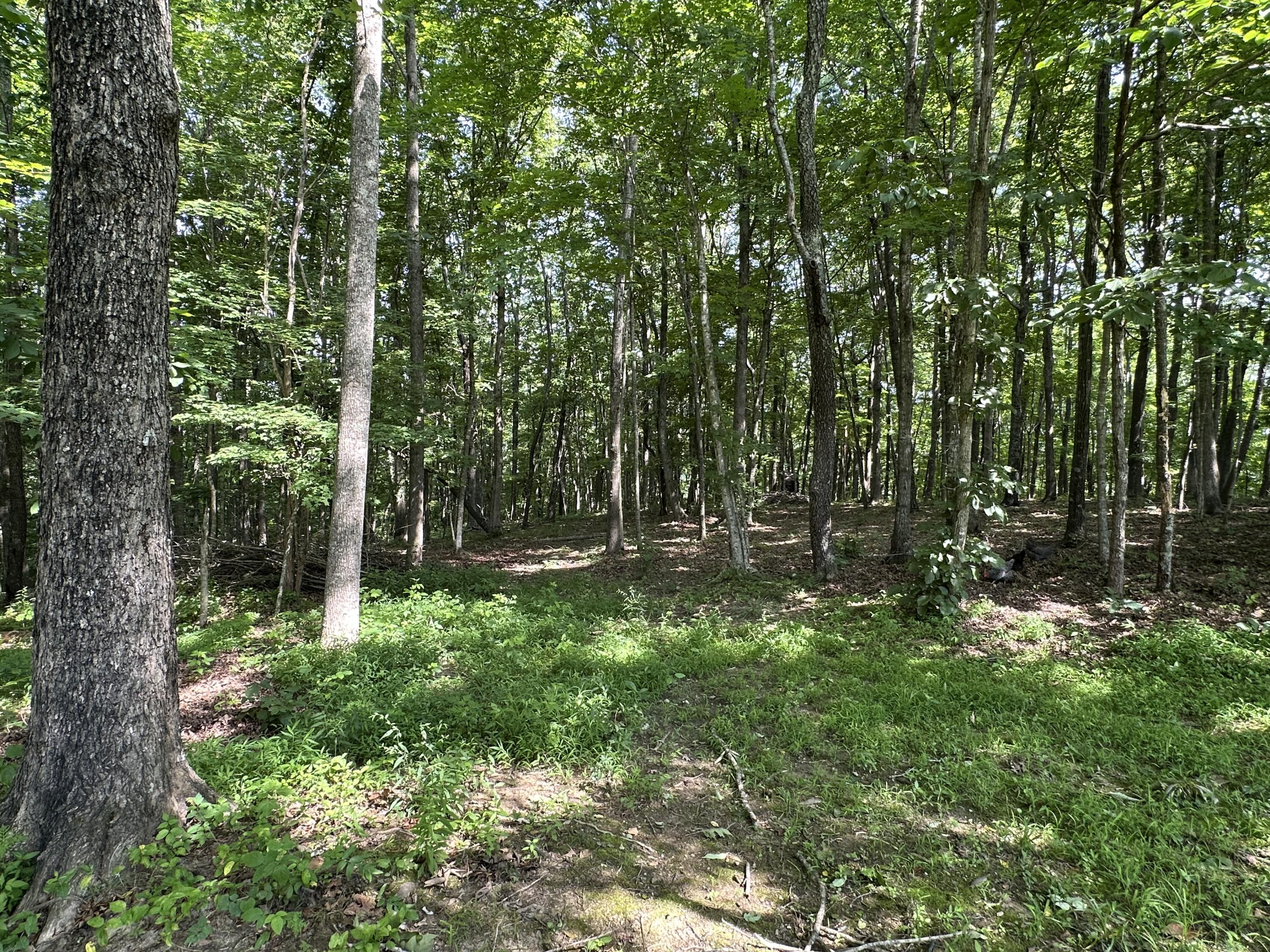 7360 Public Road Somerset, KY 42503 - Photo 61 of 75 IMG_4577