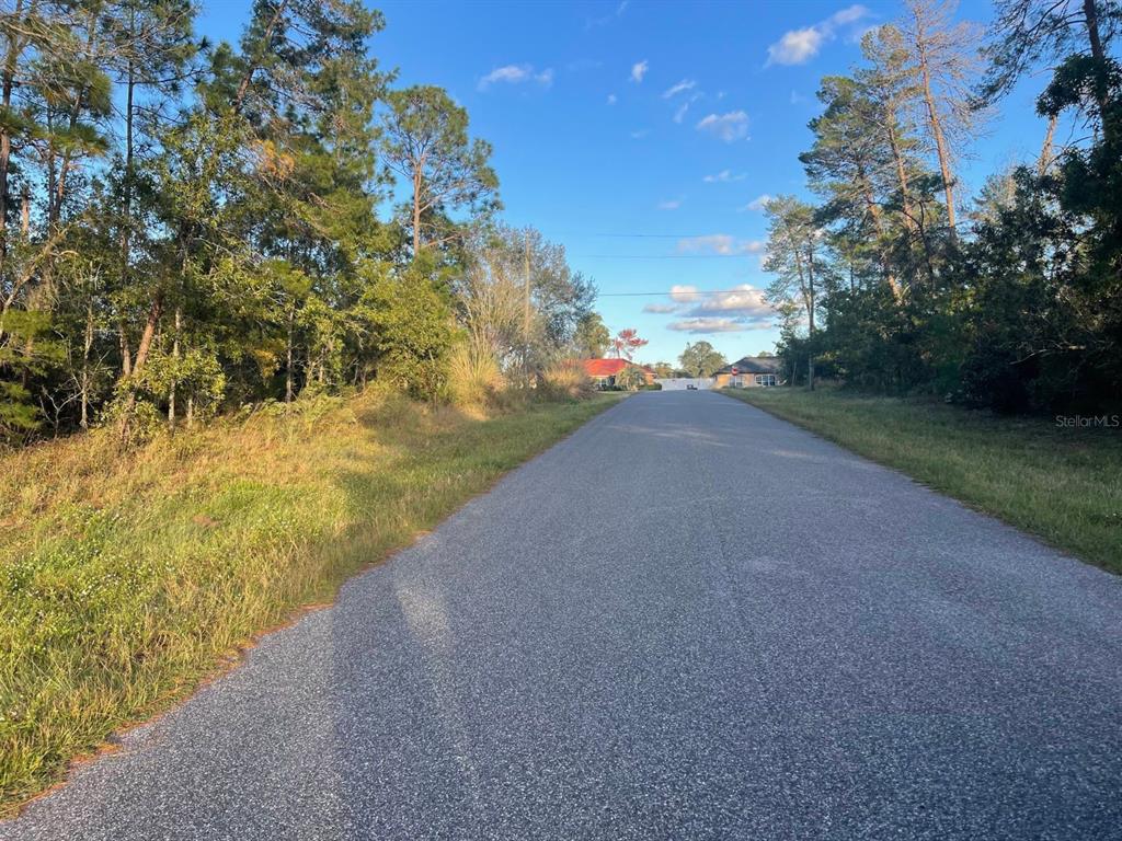 0 Southwest 157th Street Ocala, FL 34473 - Photo 3 of 6 a view of a field with an ocean view