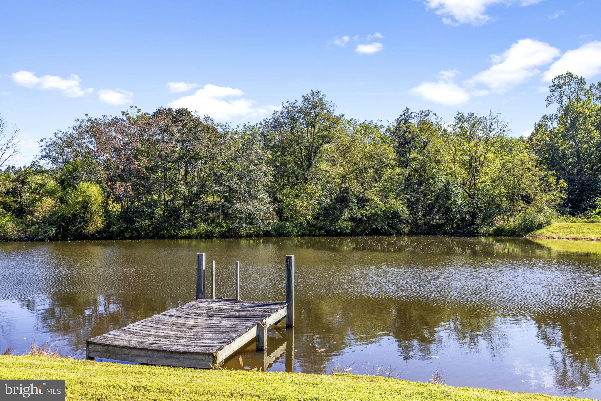 8056 Griffinsburg Road Boston, VA 22713 - Photo 102 of 115