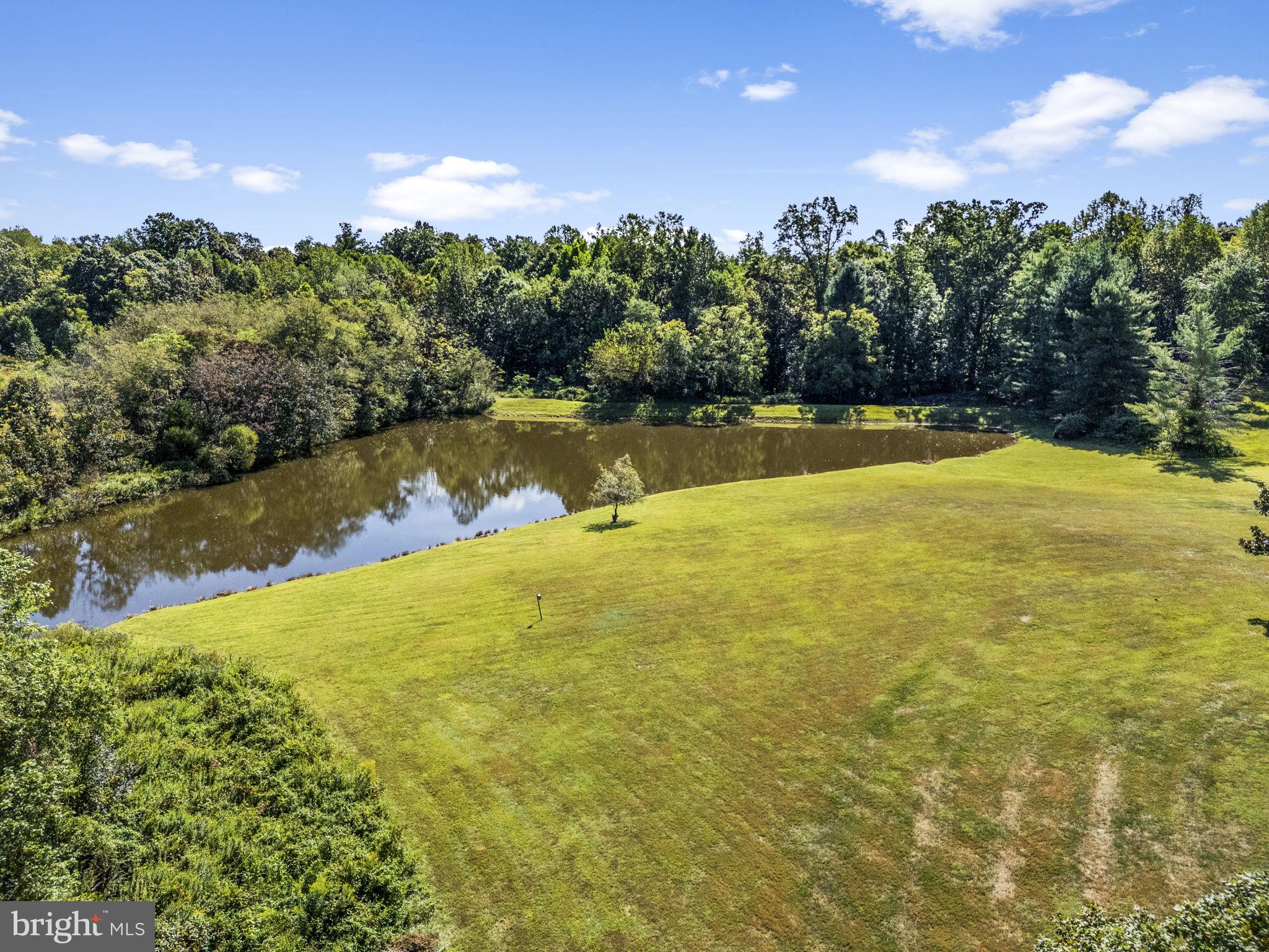 8056 Griffinsburg Road Boston, VA 22713 - Photo 106 of 115