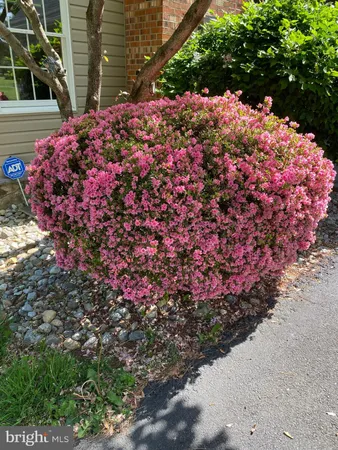 $795,000 | 8056 Griffinsburg Road, Boston, VA 22713