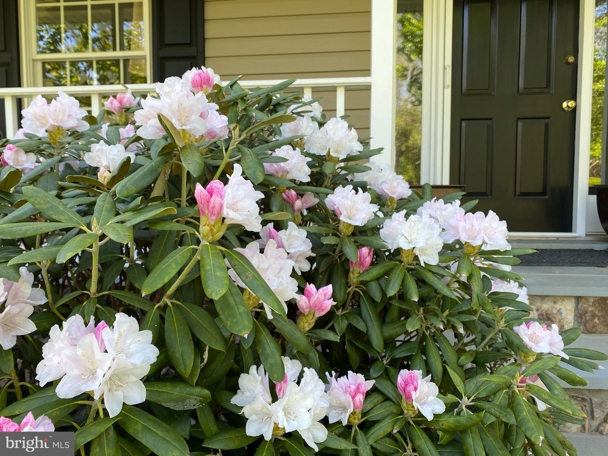 8056 Griffinsburg Road Boston, VA 22713 - Photo 110 of 115