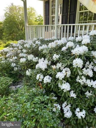 $795,000 | 8056 Griffinsburg Road, Boston, VA 22713