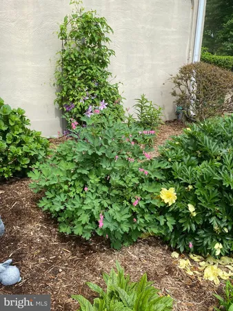 $795,000 | 8056 Griffinsburg Road, Boston, VA 22713