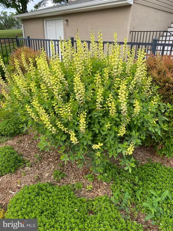 $795,000 | 8056 Griffinsburg Road, Boston, VA 22713