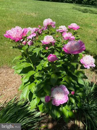 $795,000 | 8056 Griffinsburg Road, Boston, VA 22713