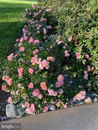 $795,000 | 8056 Griffinsburg Road, Boston, VA 22713