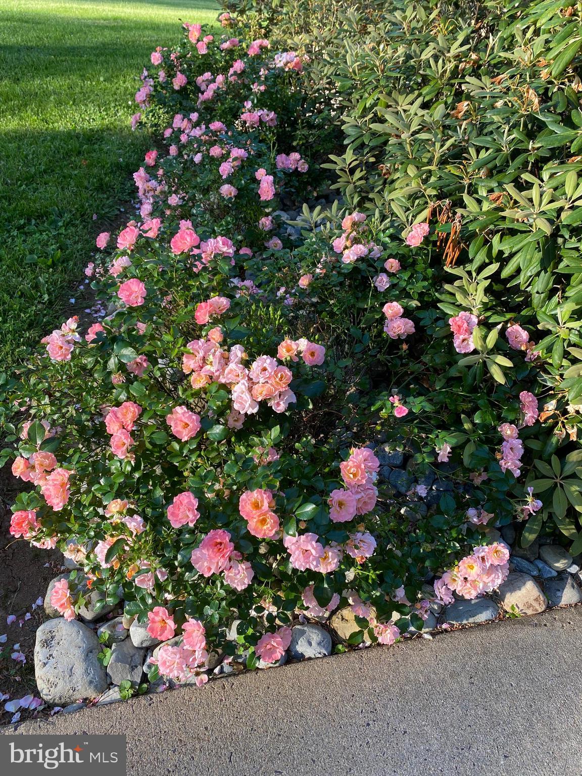 8056 Griffinsburg Road Boston, VA 22713 - Photo 115 of 115