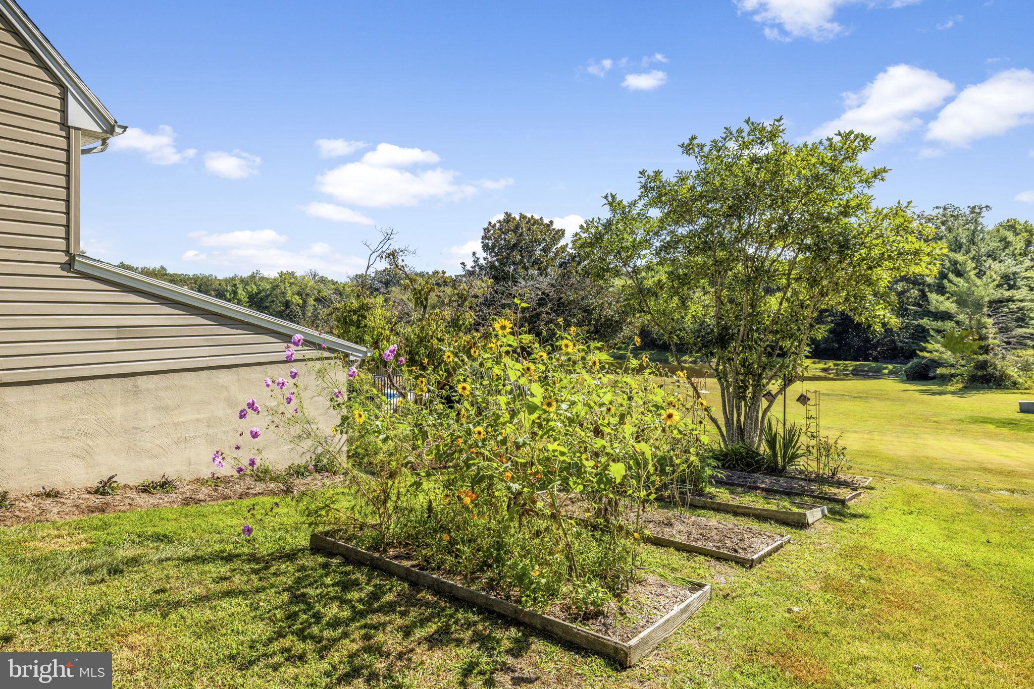 8056 Griffinsburg Road Boston, VA 22713 - Photo 100 of 115