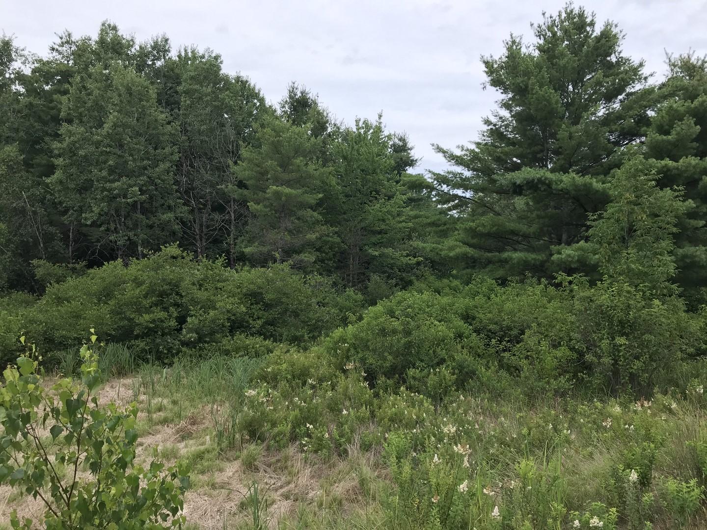 0 Togus Road Augusta, ME 04330 - Photo 6 of 6 6 (Copy)