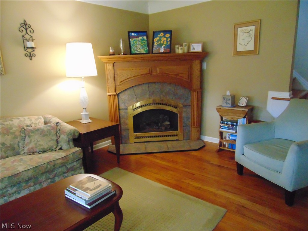1303 Haverston Road Lyndhurst, OH 44124 - Photo 3 of 34 Gas fireplace