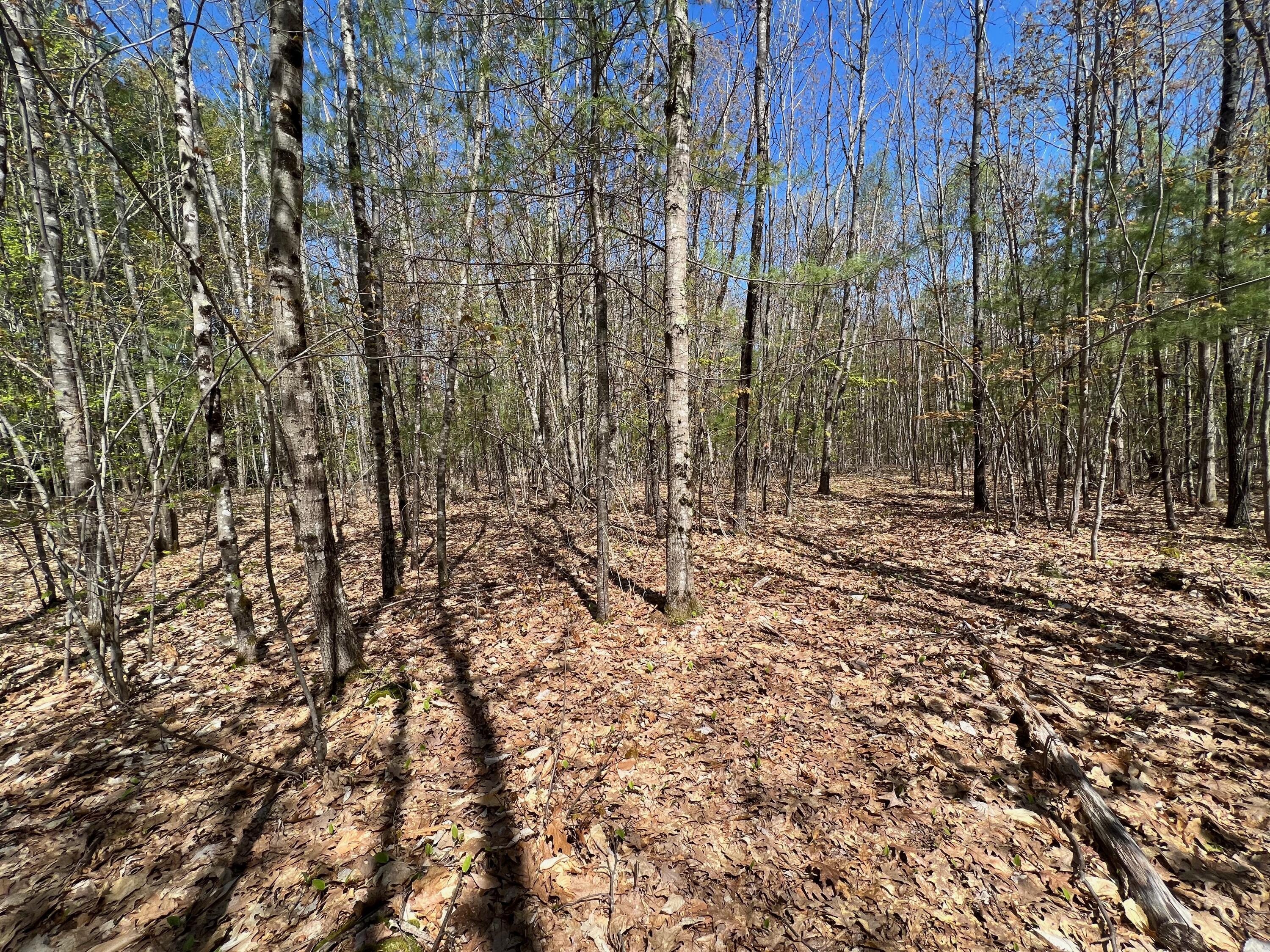 R19 C Sunset Road Springvale, ME 04083 - Photo 4 of 6 4