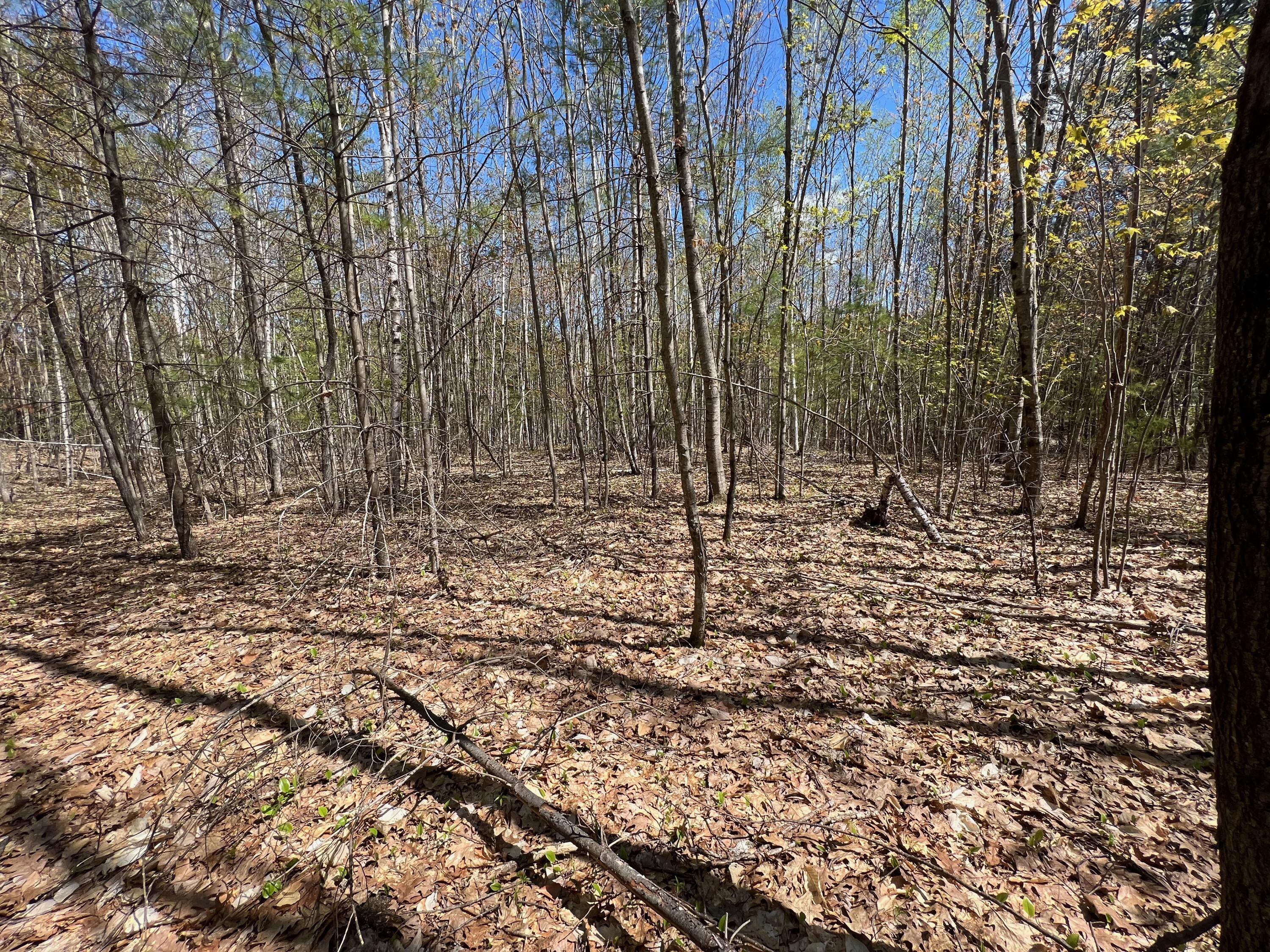 R19 C Sunset Road Springvale, ME 04083 - Photo 5 of 6 5