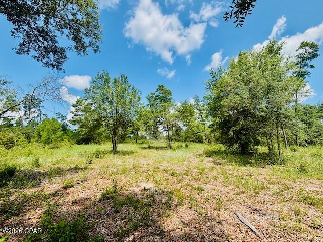 0 Lake Ridge Drive Chipley, FL 32428 - Photo 12 of 21