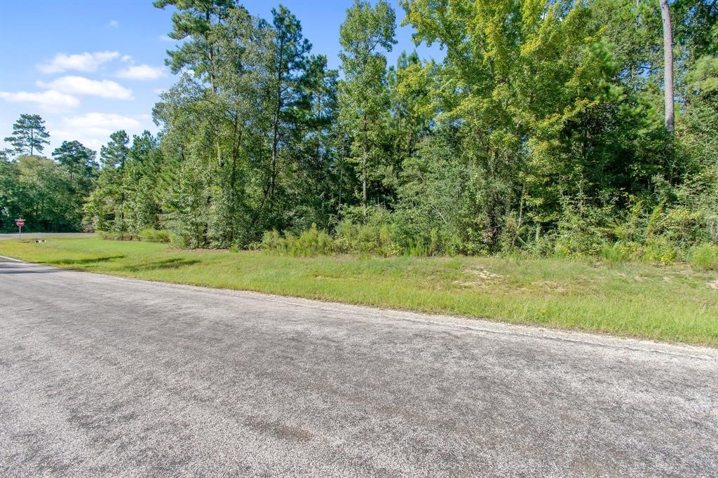 5-24-19 Rim Rock Road Huntsville, TX 77340 - Photo 12 of 14