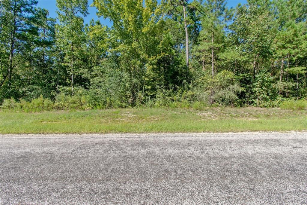 5-24-19 Rim Rock Road Huntsville, TX 77340 - Photo 13 of 14